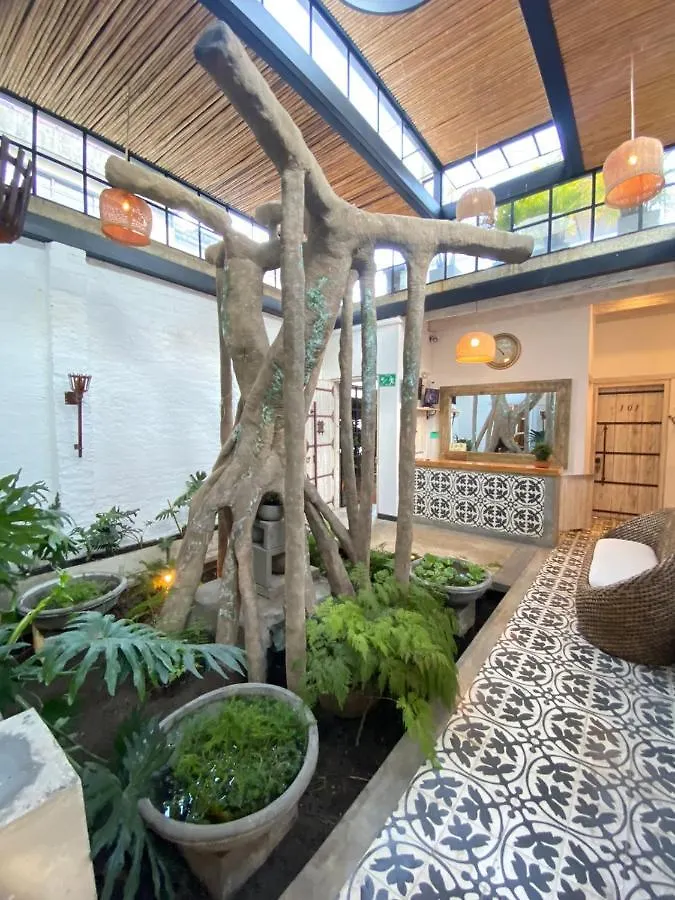 Mahi Casa Boutique Hotel Cali Colombia